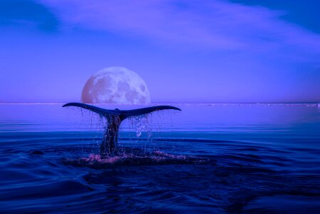 Ocean moon edits
