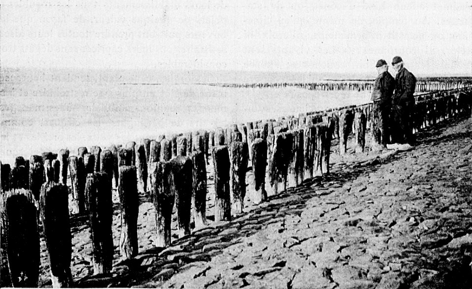 La grande digue de Westkapell, égale à celle du Helder, représente un travail gigantesque