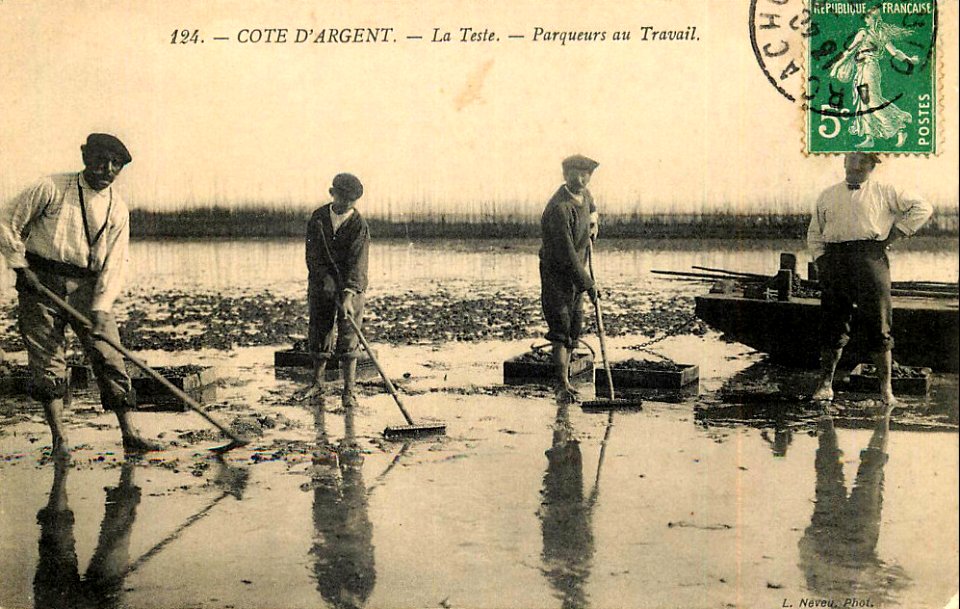 La Teste-de-Buch - Parc aux huitres 2