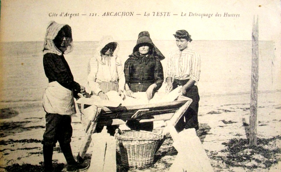 La Teste-de-Buch - Parc aux huitres 6