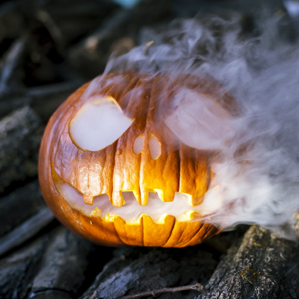 Pumpkin autumn fall