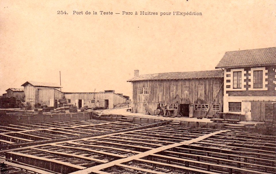 La Teste-de-Buch - Parc aux huitres 8