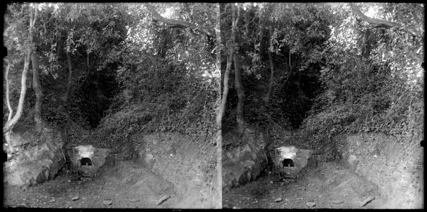 La font de la Llet de Sant Cebrià en un bosc