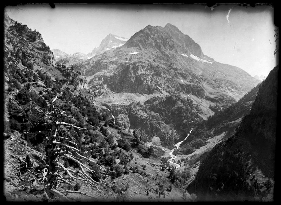 La vall de Tena amb boscos als vessants i una muntanya al fons