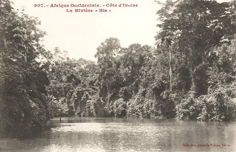 La rivière Bia (2) (Côte d'Ivoire)