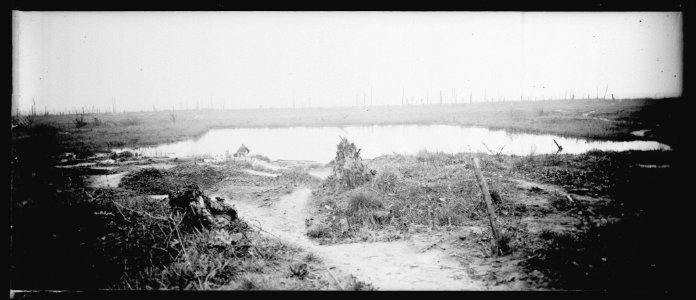 La ville aux bois. La Matoie. 29-4-18. - Fonds Berthelé - 49Fi1307