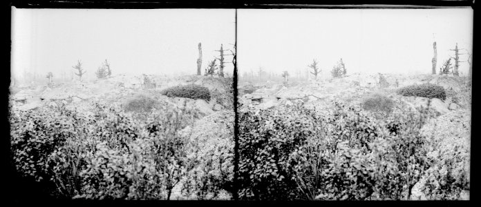 La ville aux bois. 29-4-18. - Fonds Berthelé - 49Fi1308