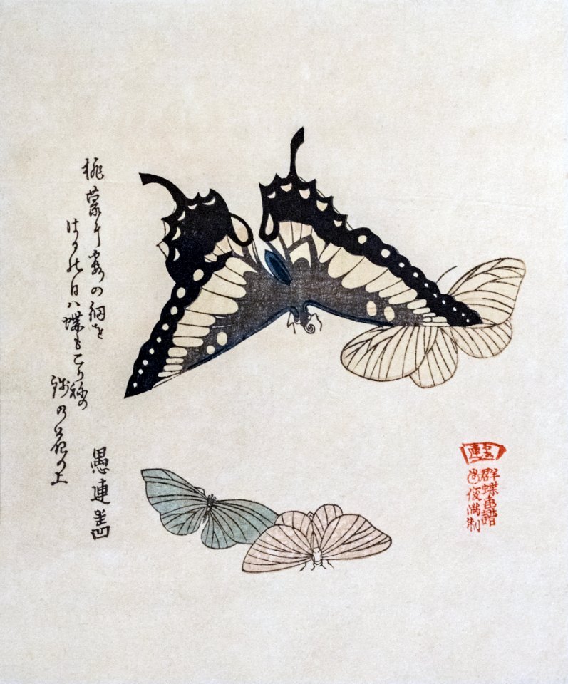 Labit - Surimono aux papillons - Kubo Shunman inv.59 302