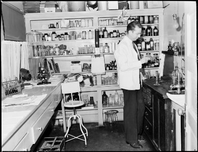 Laboratory in company owned hospital. Inland Steel Company, Wheelwright ^1 & 2 Mines, Wheelwright, Floyd County... - NARA - 541469
