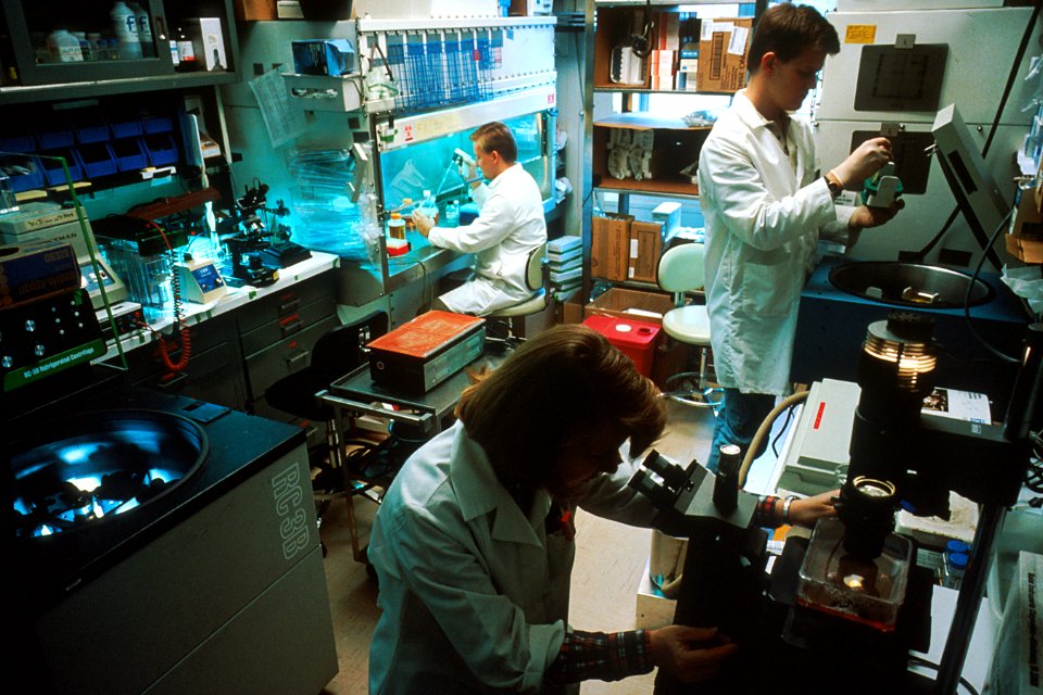 Laboratory