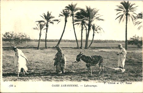 Labour-oasis 1919