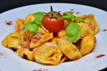 Italian eat food photo