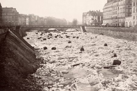 La Seine le 3 Janvier 1880 - Vue du quai du Marché-Neuf