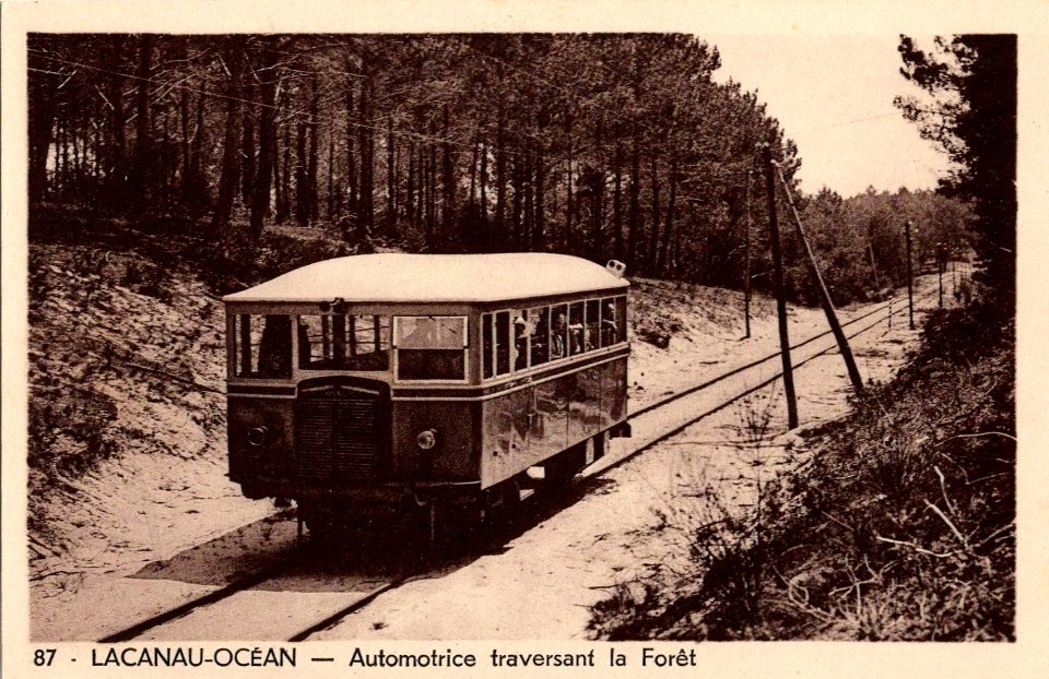 Lacanau-Océan - tram dans le forêt