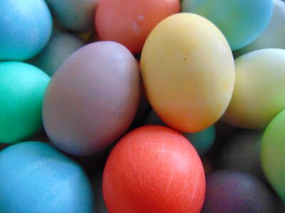 Dye easter eggs holiday