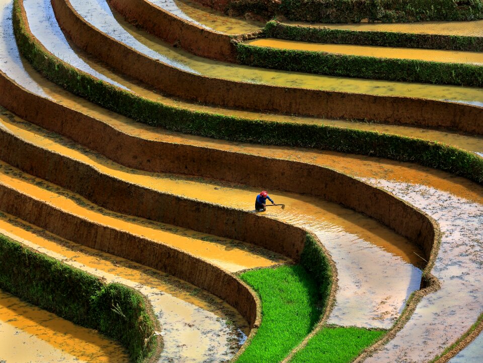 Terraces season pour water into the fields north west vietnam