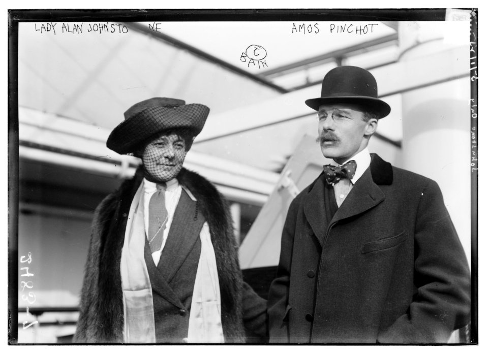 Lady Alan Johnstone, Amos Pinchot LCCN2014691284