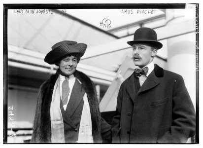 Lady Alan Johnstone, Amos Pinchot LCCN2014691284