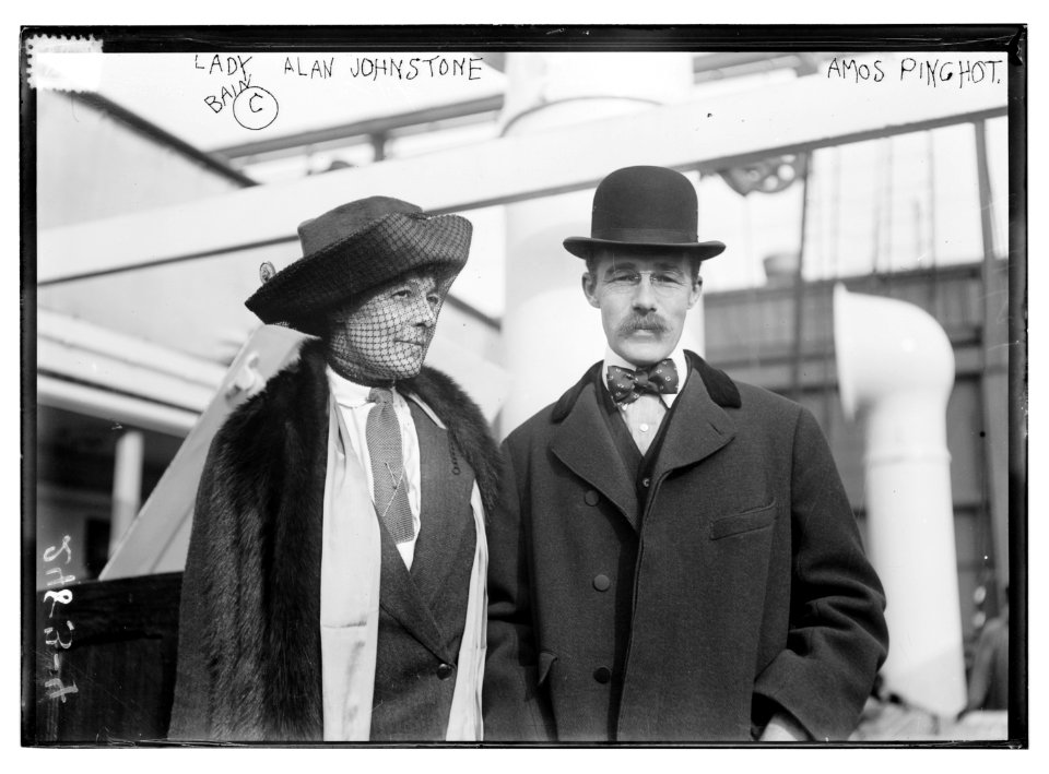 Lady Alan Johnstone, Amos Pinchot LCCN2014691281