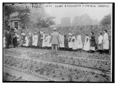 Lady Henry and T.P. O'Connor distribute cabbages LCCN2014694339
