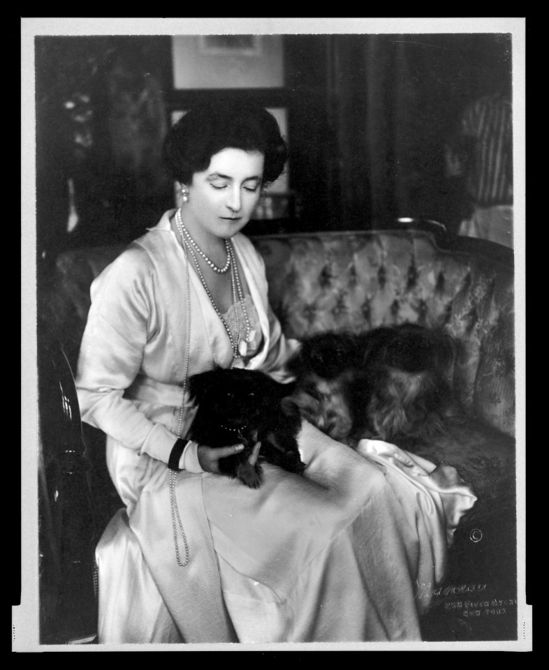 Lady Lucy Duff-Gordon, three-quarter length portrait, seated, facing right, with lapdogs) - Marceau LCCN2005691111