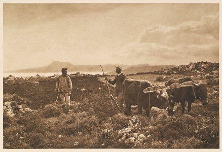 Labour sur la presqu'île d'Akrotiri, en Crète - Baud-bovy Daniel Boissonnas Frédéric - 1919