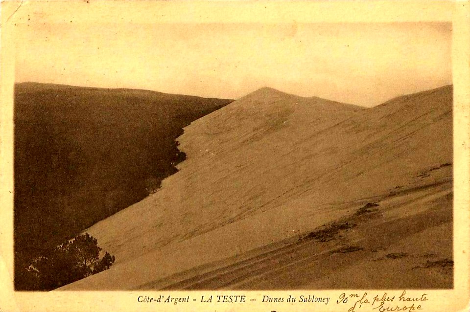 La Teste-de-Buch - Dunes