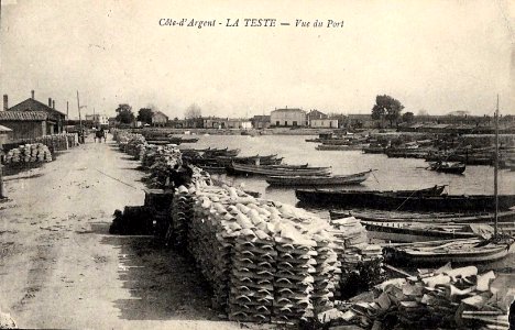 La Teste-de-Buch - le port 2