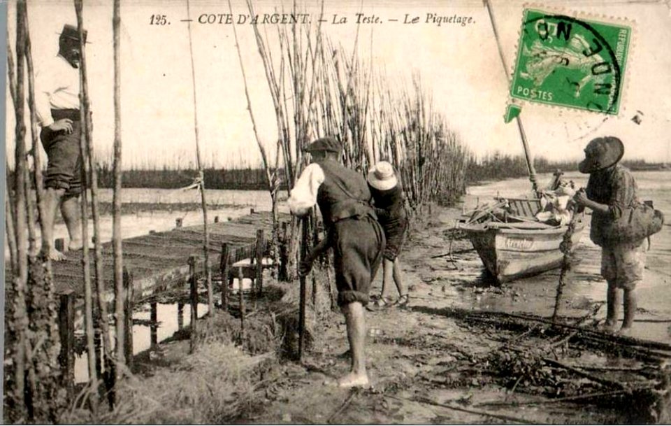 La Teste-de-Buch - Parc aux huitres 3