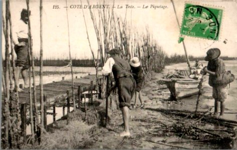 La Teste-de-Buch - Parc aux huitres 3