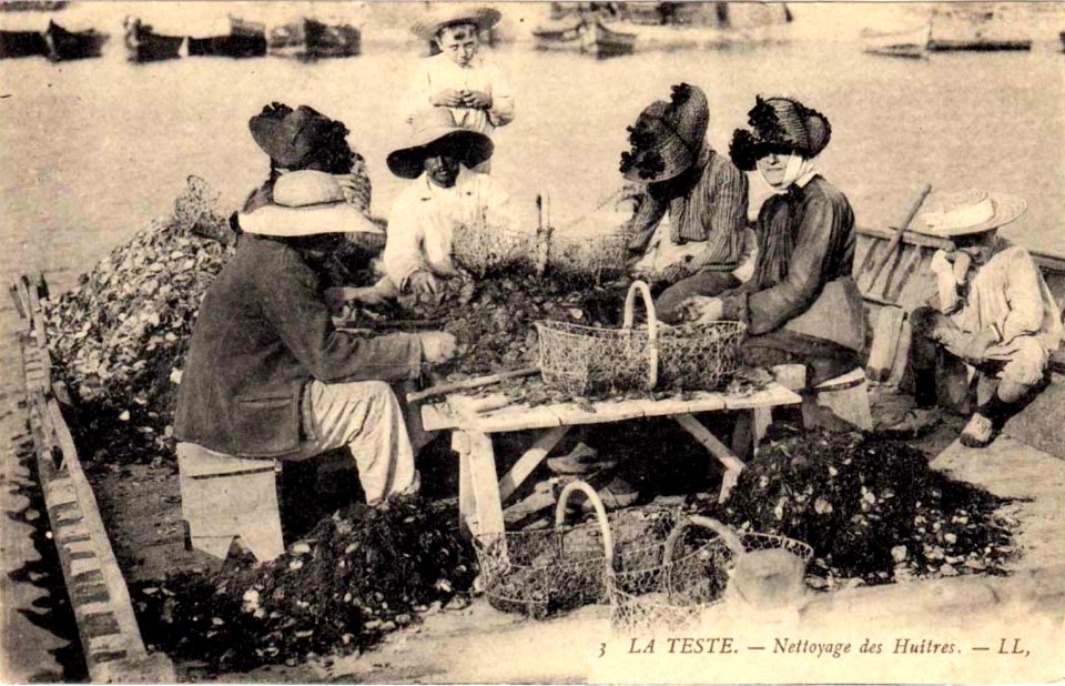 La Teste-de-Buch - Parc aux huitres 7