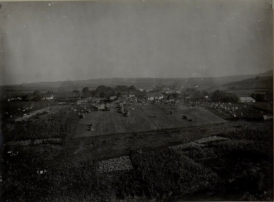 Lager der Evakuierten in PANOWICE am 12.VIII.1916. (BildID 15451053)