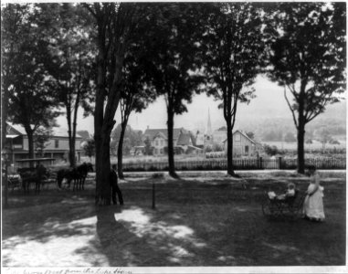 Lake George, N.Y.; west from the Lake House LCCN2005694948