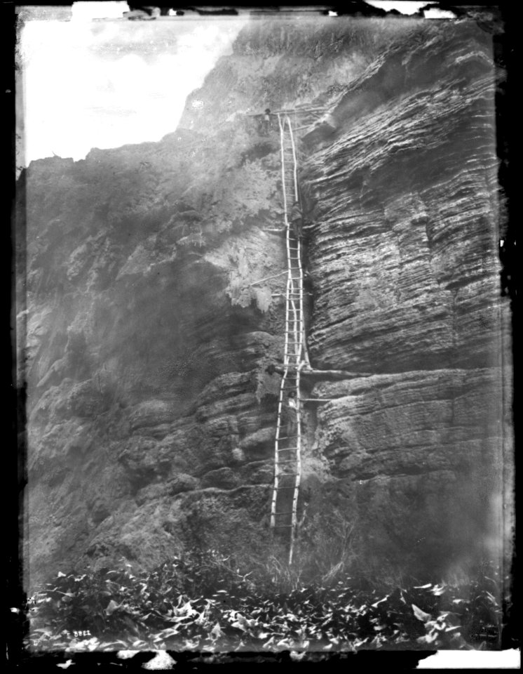 Ladder out of Havasu Canyon on the foot trail to Mooney Falls, Grand Canyon, ca.1900 (CHS-3822)