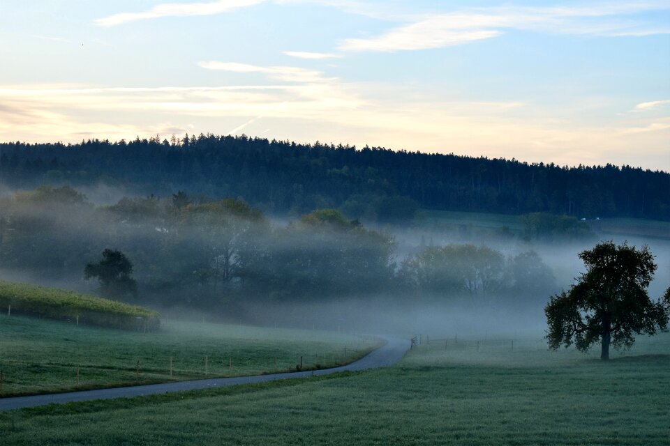 Sunrise nature trees
