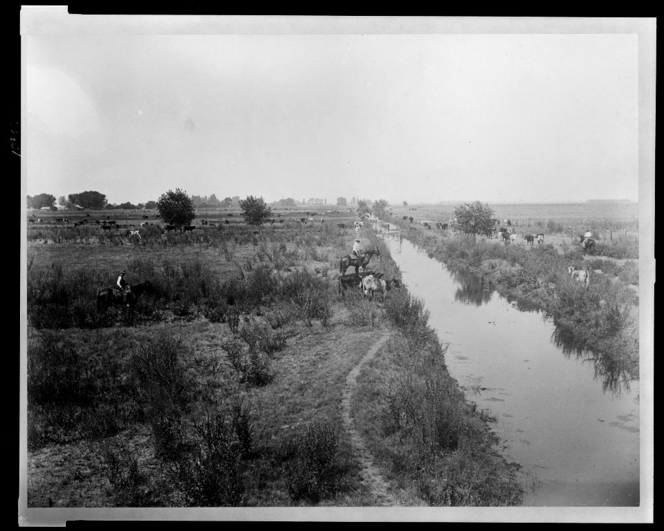 Lakeside Ranch A natural pasture. LCCN2009633192