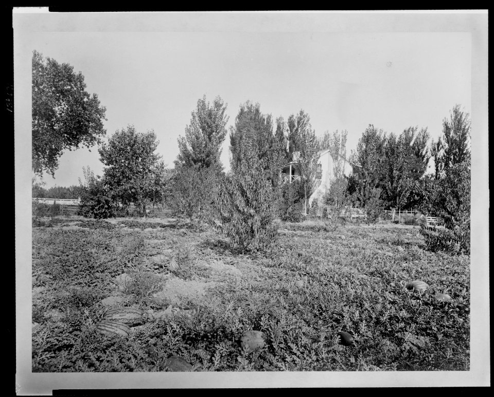 Lakeside Ranch The superintendent's home, west end. LCCN2009633191