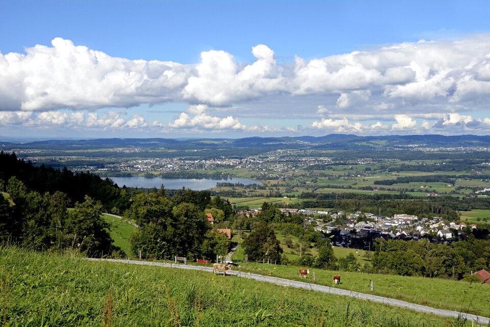 Greifensee view rural