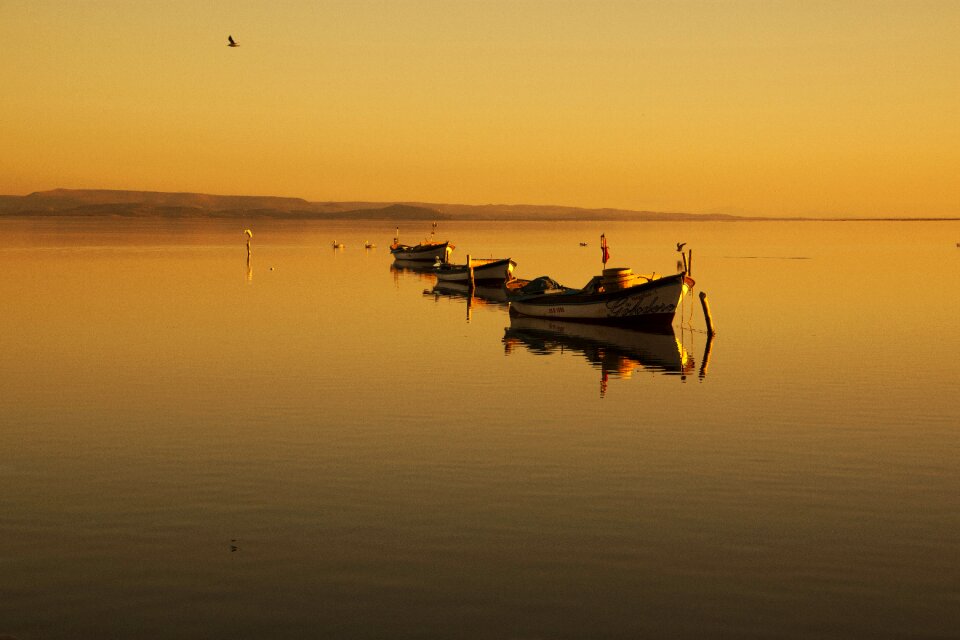 Marine boat peace