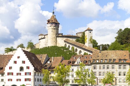 Fortress castle vineyard