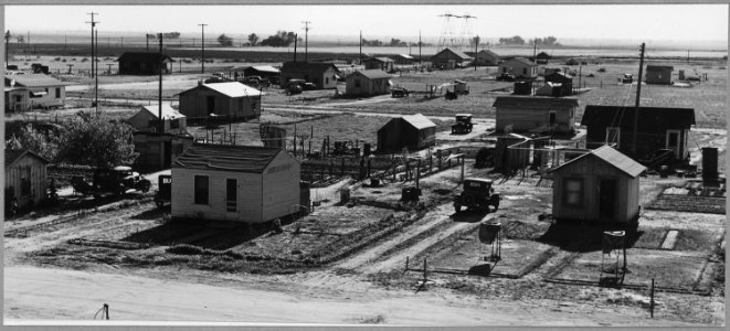 Lamont, Southeast Kern County, California. A new and growing rural shacktown in a cotton and grape d . . . - NARA - 521672