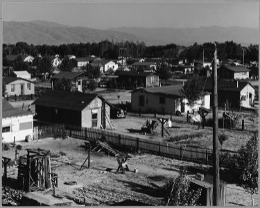 Lamont, Southeast Kern County, California. A new and growing rural shacktown in a cotton and grape d . . . - NARA - 521674