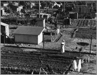 Lamont, Southeast Kern County, California. A new and growing rural shacktown in a cotton and grape d . . . - NARA - 521673