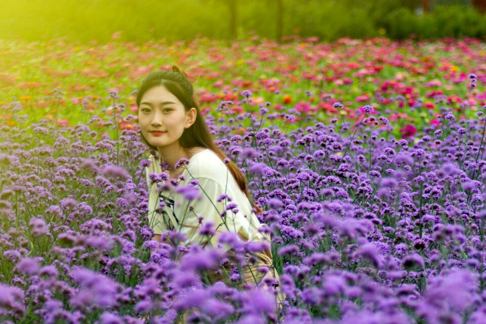 Portrait sea of flowers late stage