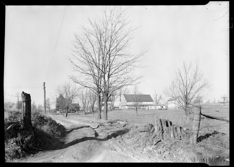 Lancaster, Pennsylvania - Housing. Entrance to moderate sized farm near Rocky Springs, Lampeter Road - NARA - 518457