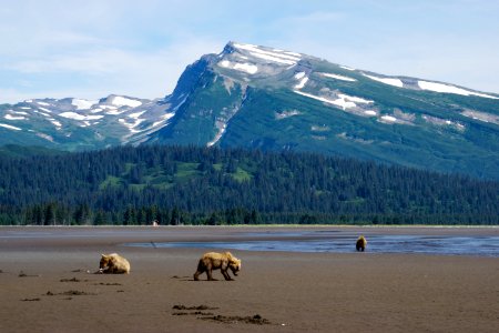 Lake Clark National Park and Preserve - 32852214567 photo