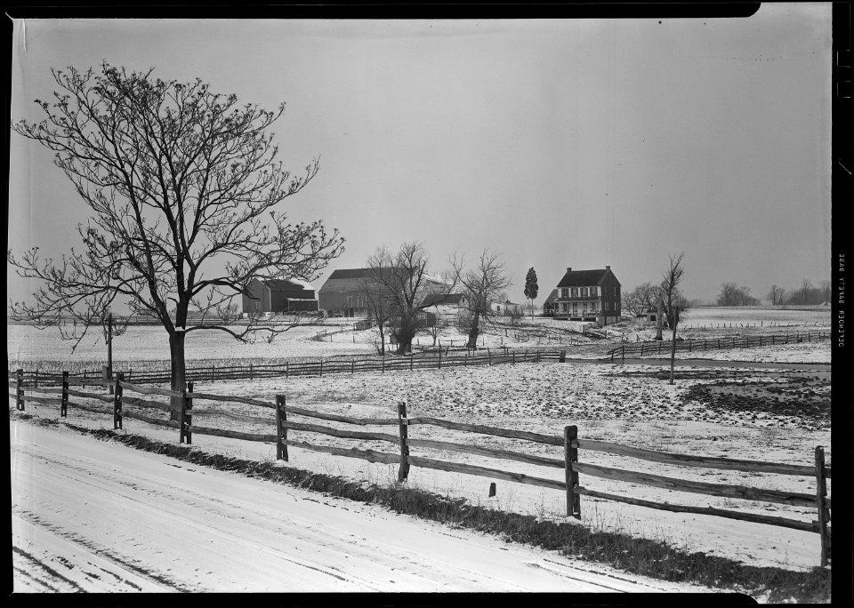 Lancaster, Pennsylvania - Housing. Adjoining farms on side road near Petersburg - NARA - 518469