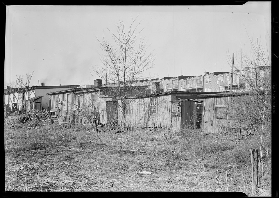 Lancaster, Pennsylvania - Housing. Barney Google Row (street not to be found on city map) - settlement in which live... - NARA - 518454