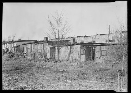 Lancaster, Pennsylvania - Housing. Barney Google Row (street not to be found on city map) - settlement in which live... - NARA - 518454