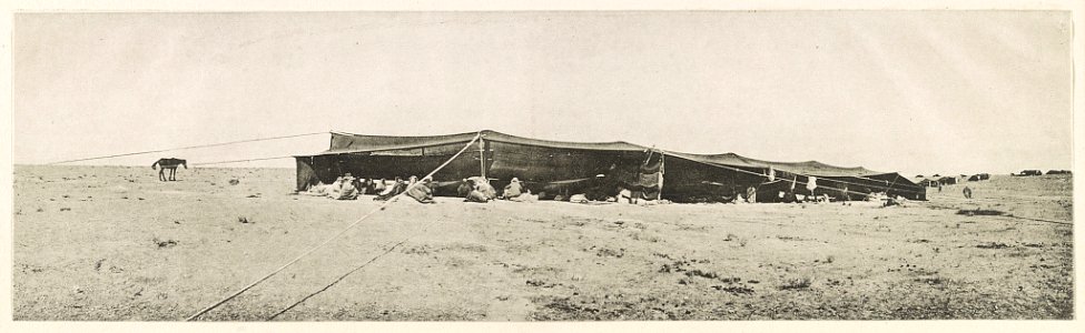Lager der Beni Șachr-Beduinen Zelt des Scheich Fauâz. 1906. LCCN2014648734